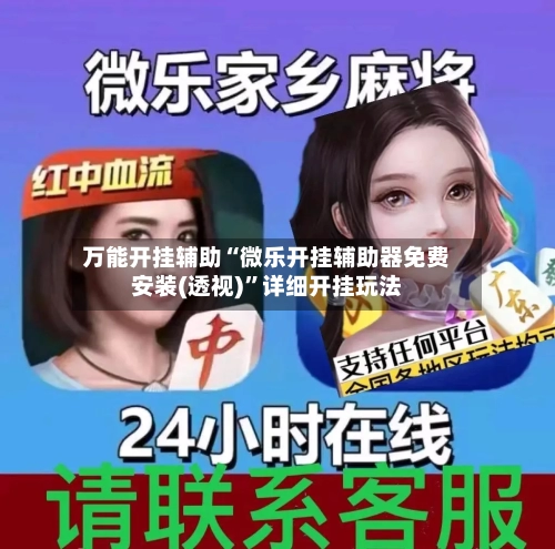 万能开挂辅助“微乐开挂辅助器免费安装(透视)	”详细开挂玩法-第2张图片