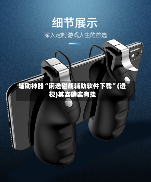 辅助神器“闲逸碰胡辅助软件下载”(透视)其实确实有挂-第2张图片