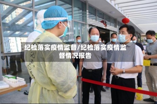 纪检落实疫情监督/纪检落实疫情监督情况报告