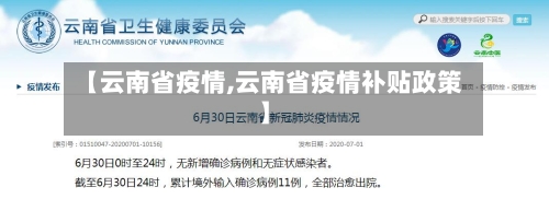 【云南省疫情,云南省疫情补贴政策】-第2张图片