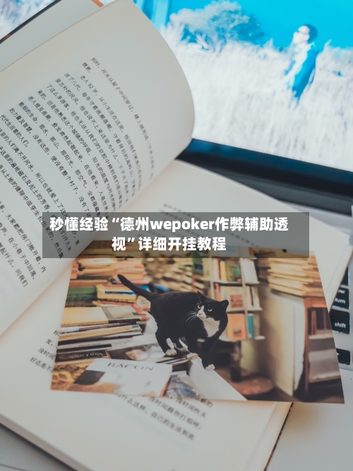 秒懂经验“德州wepoker作弊辅助透视”详细开挂教程-第3张图片