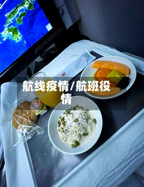 航线疫情/航班役情-第3张图片