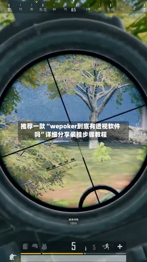 推荐一款“wepoker到底有透视软件吗”详细分享装挂步骤教程-第3张图片