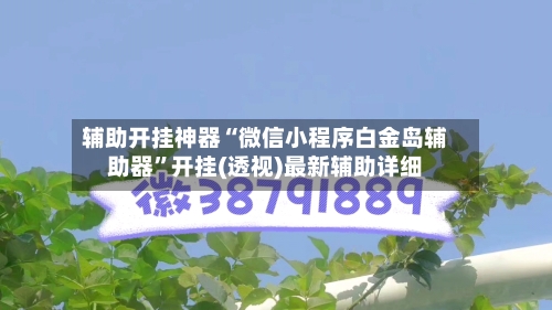辅助开挂神器“微信小程序白金岛辅助器	”开挂(透视)最新辅助详细-第2张图片