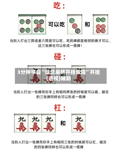 3分钟学会“哈灵麻将开挂教程”开挂(透视)辅助-第3张图片