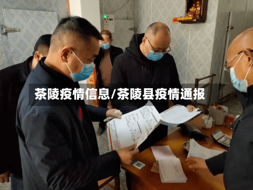 茶陵疫情信息/茶陵县疫情通报-第3张图片