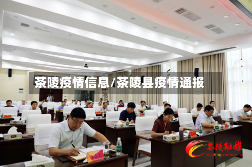 茶陵疫情信息/茶陵县疫情通报-第2张图片