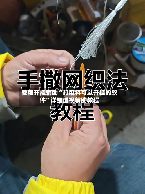 教程开挂辅助“打麻将可以开挂的软件”详细透视辅助教程-第3张图片