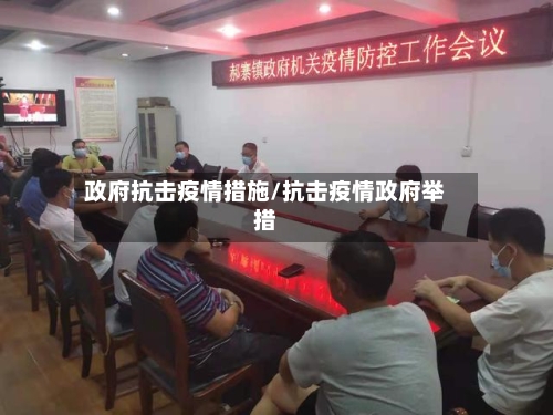 政府抗击疫情措施/抗击疫情政府举措-第3张图片
