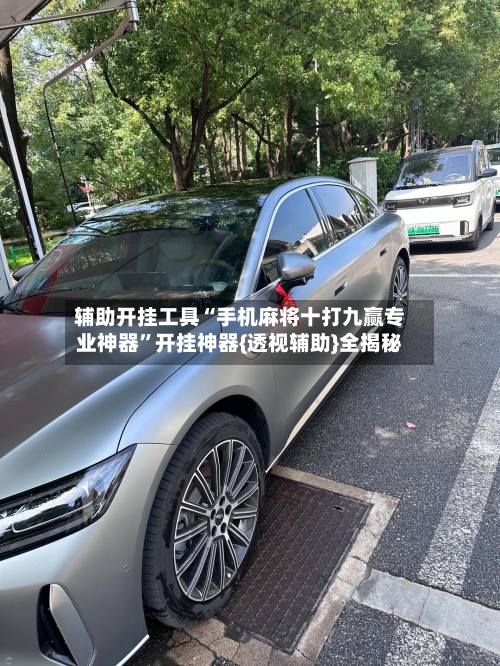 辅助开挂工具“手机麻将十打九赢专业神器”开挂神器{透视辅助}全揭秘-第3张图片