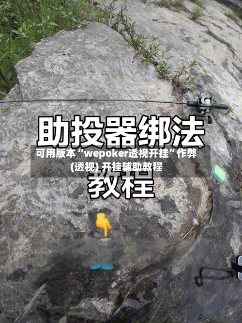 可用版本“wepoker透视开挂”作弊(透视) 开挂辅助教程-第3张图片