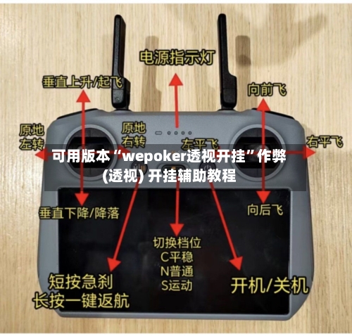 可用版本“wepoker透视开挂”作弊(透视) 开挂辅助教程