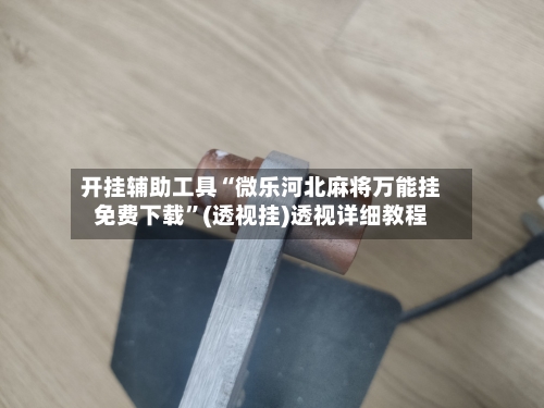 开挂辅助工具“微乐河北麻将万能挂免费下载”(透视挂)透视详细教程