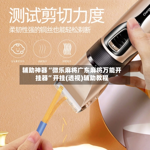 辅助神器“微乐麻将广东麻将万能开挂器”开挂(透视)辅助教程-第2张图片