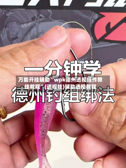 万能开挂辅助“wpk德州透视挂作弊挂教程”(透视挂)辅助透视教程