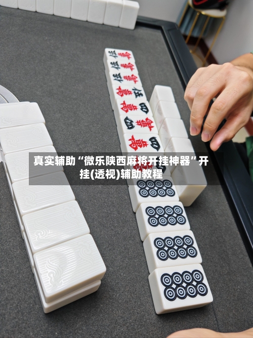 真实辅助“微乐陕西麻将开挂神器”开挂(透视)辅助教程-第3张图片