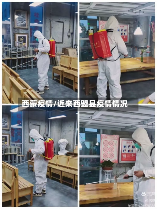 西蒙疫情/近来西盟县疫情情况-第2张图片