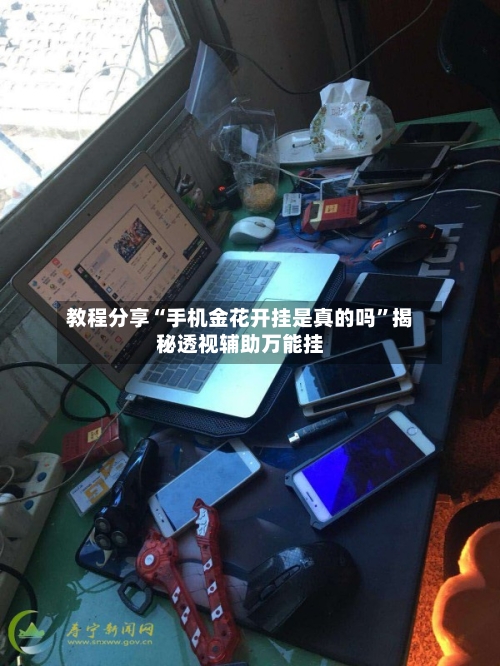 教程分享“手机金花开挂是真的吗”揭秘透视辅助万能挂