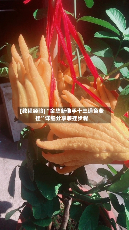 [教程经验]“金华新佛手十三道免费挂”详细分享装挂步骤-第3张图片