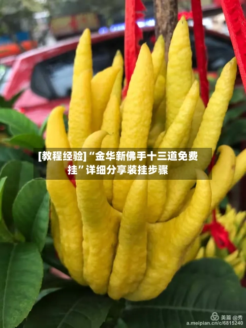 [教程经验]“金华新佛手十三道免费挂	”详细分享装挂步骤-第2张图片