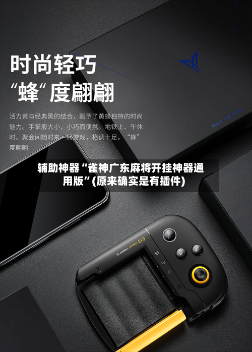 辅助神器“雀神广东麻将开挂神器通用版”(原来确实是有插件)