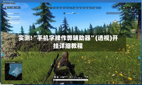 实测!“手机字牌作弊辅助器	”(透视)开挂详细教程-第2张图片