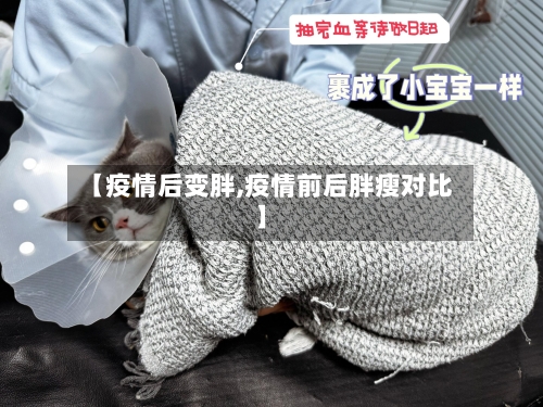 【疫情后变胖,疫情前后胖瘦对比】