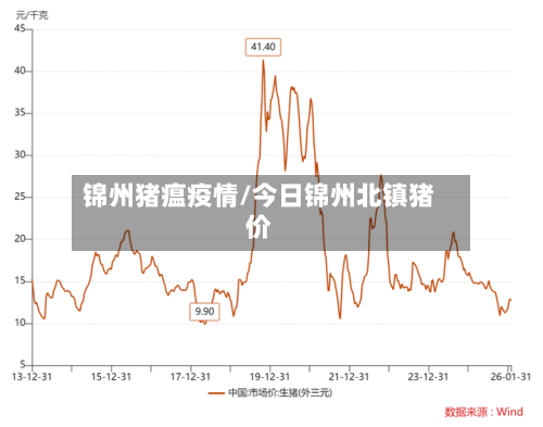 锦州猪瘟疫情/今日锦州北镇猪价-第3张图片