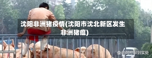 沈阳非洲猪疫情(沈阳市沈北新区发生非洲猪瘟)