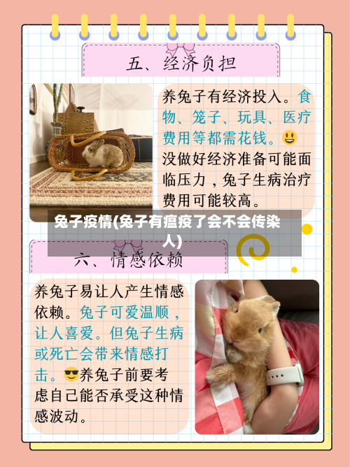 兔子疫情(兔子有瘟疫了会不会传染人)-第2张图片