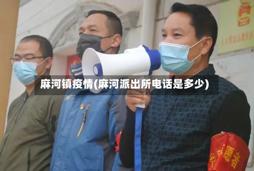 麻河镇疫情(麻河派出所电话是多少)