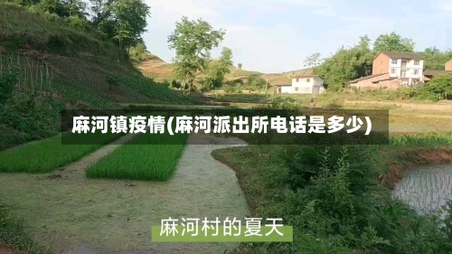 麻河镇疫情(麻河派出所电话是多少)-第2张图片