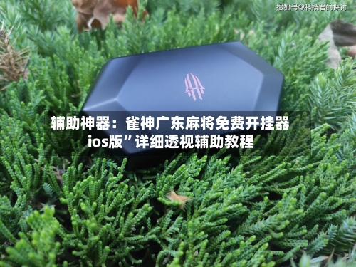 辅助神器：雀神广东麻将免费开挂器ios版”详细透视辅助教程