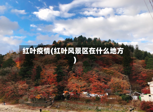 红叶疫情(红叶风景区在什么地方)