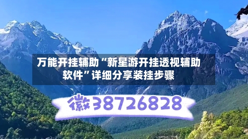 万能开挂辅助“新星游开挂透视辅助软件”详细分享装挂步骤-第2张图片