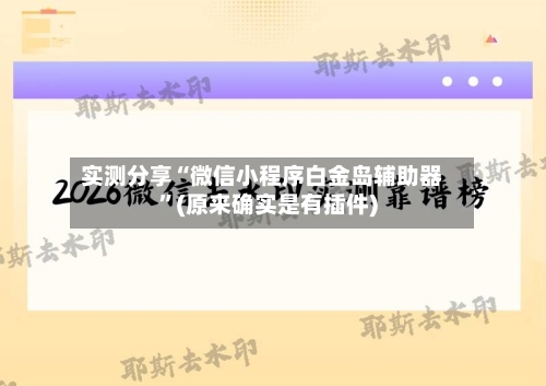 实测分享“微信小程序白金岛辅助器”(原来确实是有插件)-第2张图片