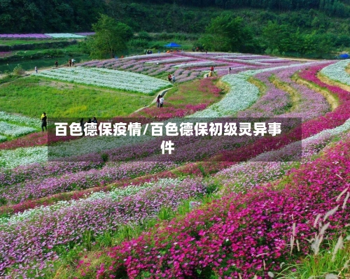 百色德保疫情/百色德保初级灵异事件-第3张图片