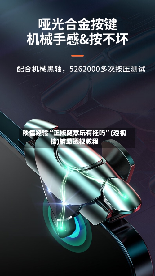 秒懂经验“正版随意玩有挂吗”(透视挂)辅助透视教程