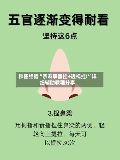 秒懂经验“亲友联盟挂+透视挂!”详细辅助教程分享