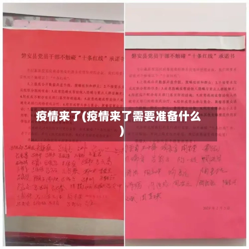 疫情来了(疫情来了需要准备什么)-第2张图片