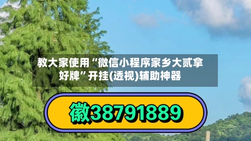 教大家使用“微信小程序家乡大贰拿好牌”开挂(透视)辅助神器