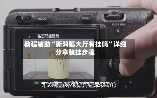 教程辅助“新鸿狐大厅有挂吗	”详细分享装挂步骤-第2张图片