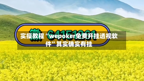 实操教程“wepoker免费开挂透视软件”其实确实有挂-第2张图片