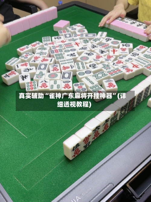 真实辅助“雀神广东麻将开挂神器”(详细透视教程)-第3张图片
