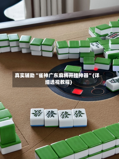 真实辅助“雀神广东麻将开挂神器”(详细透视教程)
