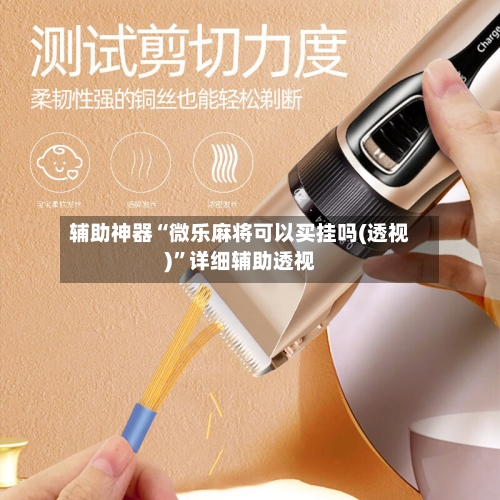 辅助神器“微乐麻将可以买挂吗(透视)”详细辅助透视-第2张图片