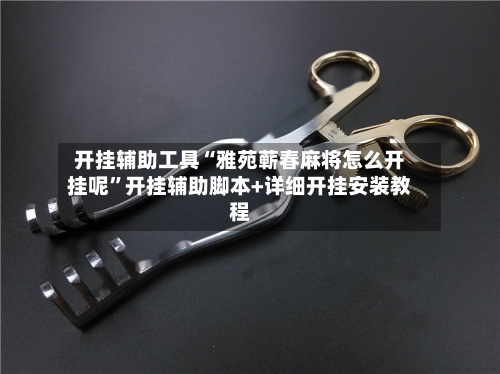 开挂辅助工具“雅苑蕲春麻将怎么开挂呢”开挂辅助脚本+详细开挂安装教程