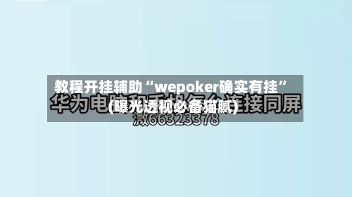 教程开挂辅助“wepoker确实有挂”(曝光透视必备猫腻)-第3张图片