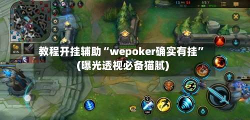 教程开挂辅助“wepoker确实有挂”(曝光透视必备猫腻)-第2张图片