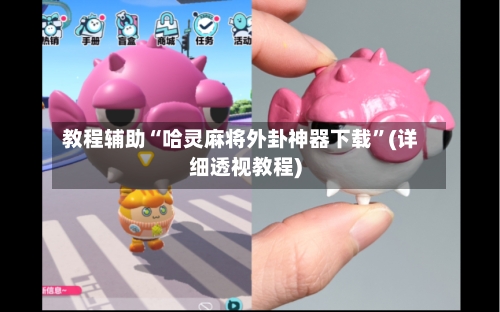 教程辅助“哈灵麻将外卦神器下载”(详细透视教程)